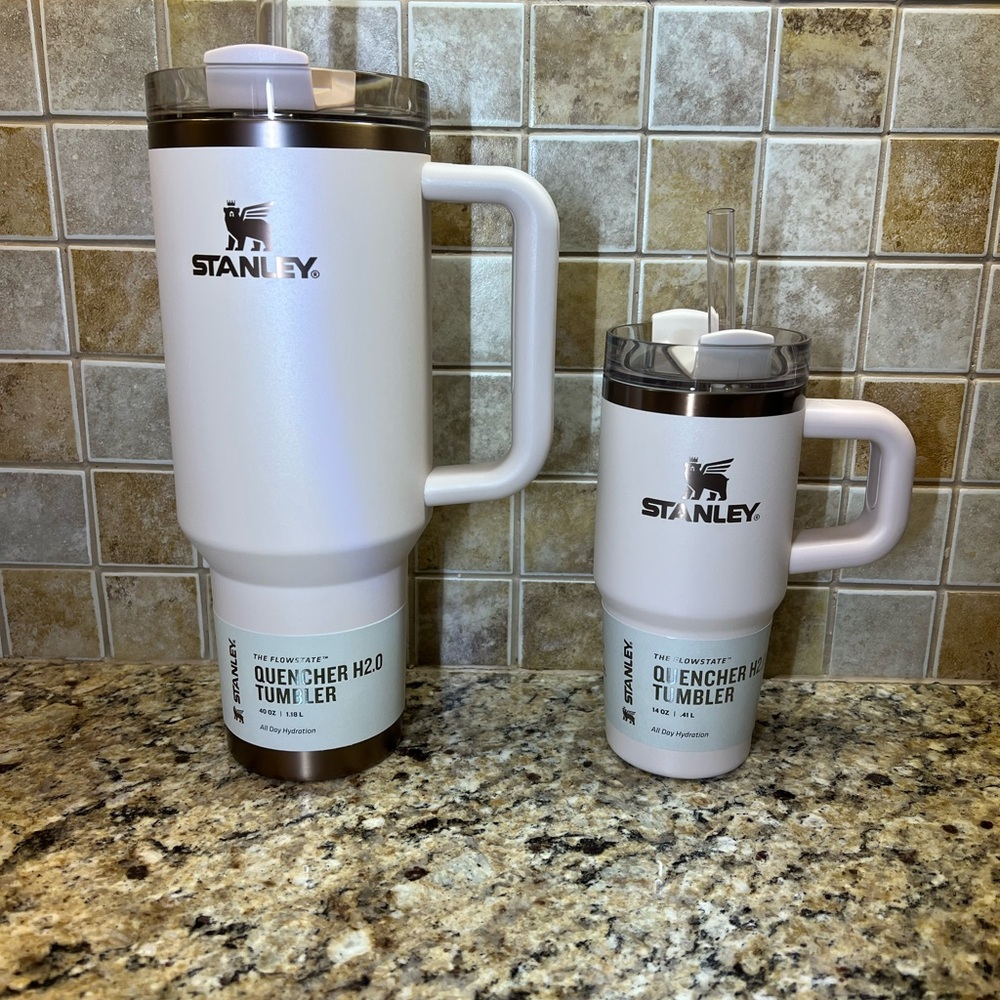 NEW  Stanley The Quencher H2.0 Samesies Sip Set / 40oz & 14oz Guilded Sugar